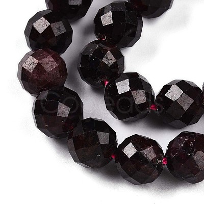 Natural Garnet Beads Strands G-S345-10mm-37-1