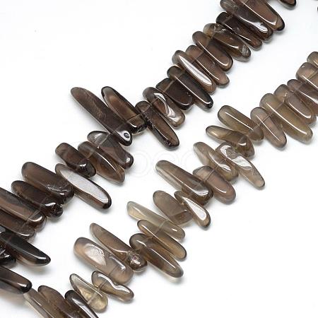 Natural Smoky Quartz Beads Strands G-R835-10-1
