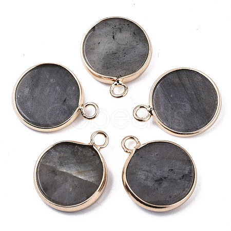 Natural Labradorite Pendants G-N326-29A-1