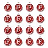 Platinum Plated Alloy Enamel Charms X-ENAM-S118-03F-P-2
