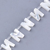 Sea Shell Beads X-SHEL-T012-60N-2