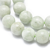 Natural Myanmar Jade/Burmese Jade Beads Strands G-D0001-09-8mm-3