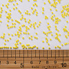 11/0 FGB Grade A Baking Paint Glass Seed Beads X-SEED-N001-A-1001-3