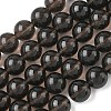 Natural Ice Obsidian Beads Strands G-P590-A01-12mm-02-2