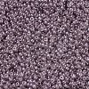 MIYUKI Round Rocailles Beads SEED-JP0008-RR3512-2