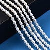 Natural Cultured Freshwater Pearl Beads Strands PEAR-N012-02L-2