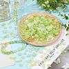 200g Transparent Acrylic Beads OACR-SP0001-86D-3