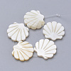 Natural Freshwater Shell Beads SHEL-T007-02-1
