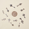 Tibetan Style Alloy Key Pendants TIBEP-X0001-02-AS-4