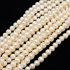 Natural Cultured Freshwater Pearl Beads Strands X-PEAR-L001-F-07-1