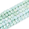 Anti-Tarnish Electroplate Glass Beads Strands LS-GLAA-T025-4mm-10B-1