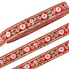 Ethnic Polyester Ribbon OCOR-WH0109-038A-1