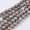 Natural Maifanite/Maifan Stone Beads Strands G-I187-6mm-01-2