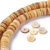 Natural Freshwater Shell Beads Strands X-BSHE-I016-04B-4
