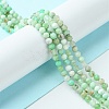 Natural Chrysoprase Beads Strands G-F748-X01-03B-2