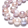 Natural Cultured Freshwater Pearl Beads Strands PEAR-N013-10B-5