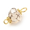 Natural Agate Connector Charms PALLOY-JF01587-04-6