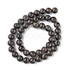 Natural Labradorite Beads Strands G-G0003-C03-10mm-3