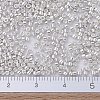 MIYUKI Delica Beads SEED-JP0008-DB0551-4