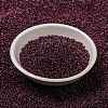 MIYUKI Round Rocailles Beads X-SEED-G009-RR0313-3