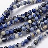 Natural Sodalite Beads Strand X-GSR6mmC013-1