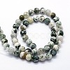Natural Tree Agate Beads Strands G-I199-03-10mm-3