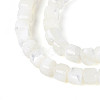 Natural Trochid Shell/Trochus Shell Beads Strands SSHEL-N041-04A-01-3
