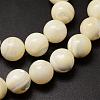 Natural Sea Shell Beads Strands SSHEL-K013-12mm-A-3