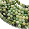 Natural Serpentine Beads Strands G-Z110-C04-6mm-4