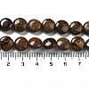 Natural Bronzite Beads Strands G-G084-D13-01-5