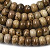 Natural Picture Jasper Beads Strands G-A280-A03-01-4