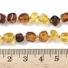 Natural Amber Beads Strands G-L095-E01-01-5