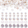 1 Strand 2 Styles Natural Freshwater Shell Beads Strands SHEL-TA0001-43-1