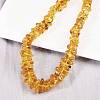 Natural Amber Chip Beaded Necklaces NJEW-L466-03B-2