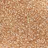 MIYUKI Round Rocailles Beads SEED-X0055-RR0234-2