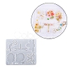 Silicone Molds PW-WG18437-03-1