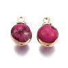 Natural Regalite/Imperial Jasper/Sea Sediment Jasper Charms X-G-T111-11E-3