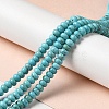 Natural Howlite Beads Strands G-C025-09B-2