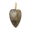Natural Labradorite Pendants G-C290-01D-1