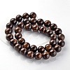 Natural Bronzite Round Beads Strands G-E330-10mm-03-2