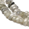 Natural Labradorite Beads Strands G-Q167-B19-01-4