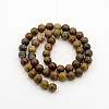 Natural Petrified Wood Round Bead Strands G-P070-64-4mm-2