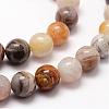 Natural Bamboo Leaf Agate Beads Strands G-F364-02-8mm-3