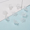 Transparent Acrylic Beads PL560-1-3