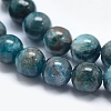 Natural Apatite Beads G-E481-05-10mm-3