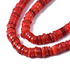 Natural Freshwater Shell Beads Strands SHEL-S278-025G-3