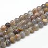 Natural Black Sunstone Beads Strands G-R446-10mm-33-1