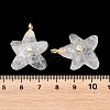 Natural Quartz Crystal Pendants G-H353-01G-02-3