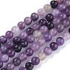 Natural Lepidolite/Purple Mica Stone Beads Strands G-K415-4mm-2