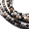 Natural Picasso Jasper Beads Strands G-Z116-A07-3mm-4
